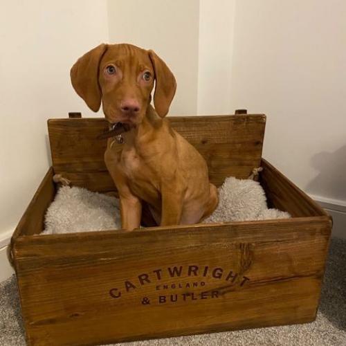 Reuse of C&B Crate