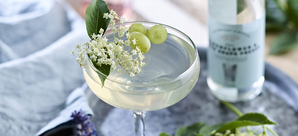 Elderflower & White Grape Pressé Jellies IMAGE