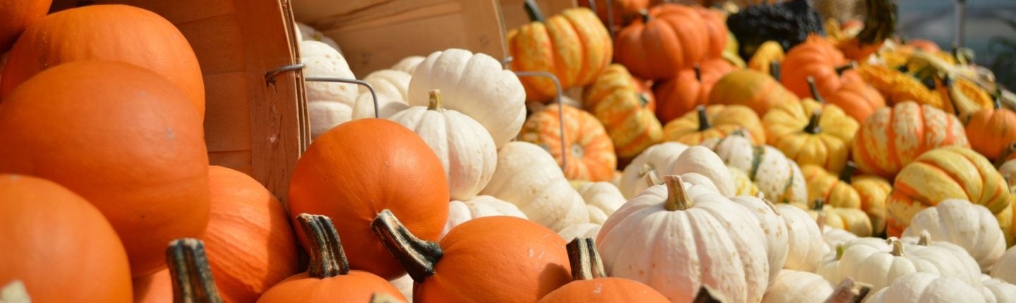 Pumpkin-Banner-1500x430